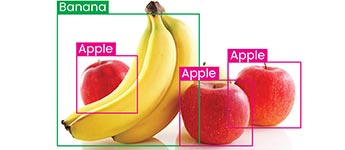 Image Classification