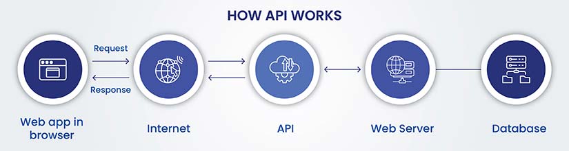 Understanding Social Media APIs